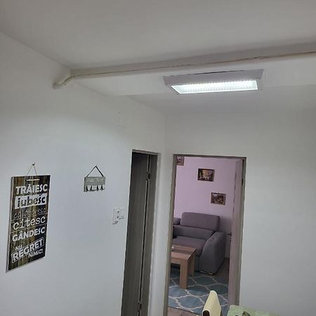 Apartament In Bucovina, Campulung Moldovenesc, Impecabil .アパートメント エクステリア 写真