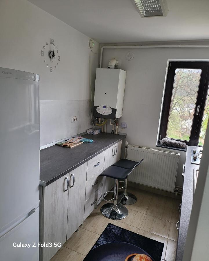 Apartament In Bucovina, Campulung Moldovenesc, Impecabil .アパートメント エクステリア 写真