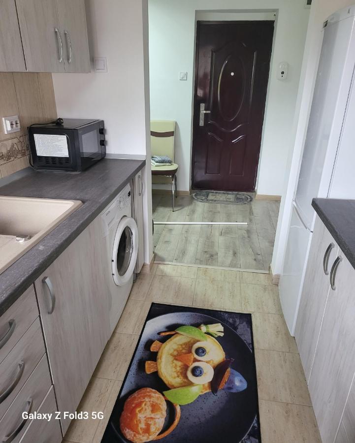 Apartament In Bucovina, Campulung Moldovenesc, Impecabil .アパートメント エクステリア 写真