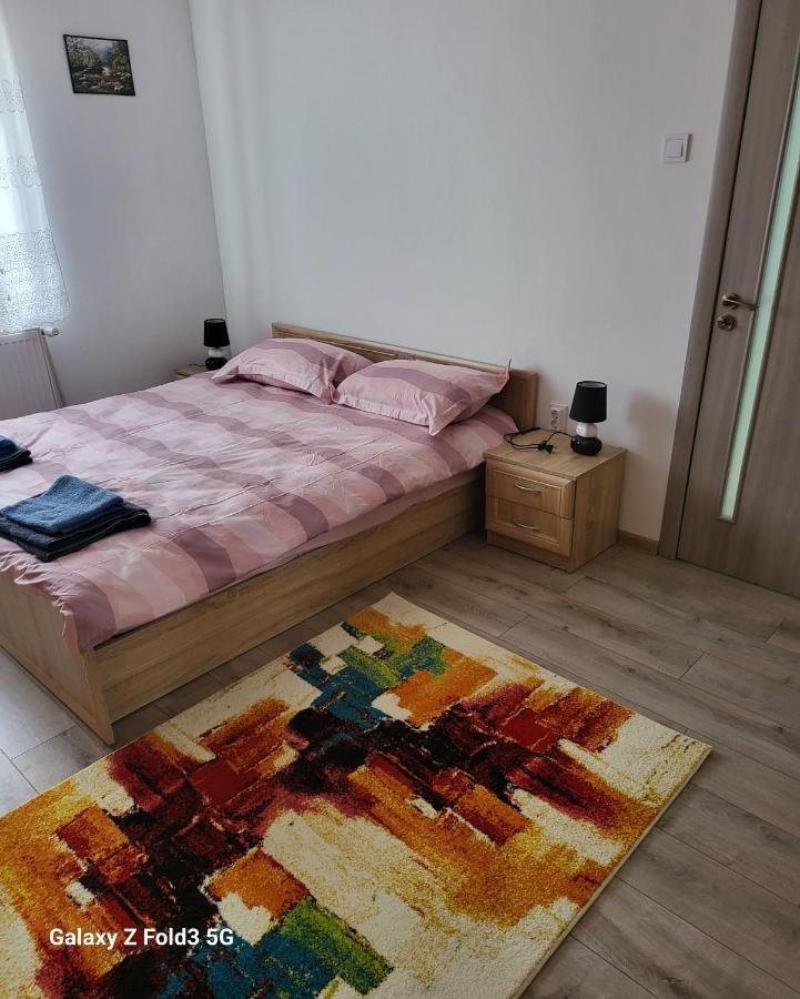 Apartament In Bucovina, Campulung Moldovenesc, Impecabil .アパートメント エクステリア 写真