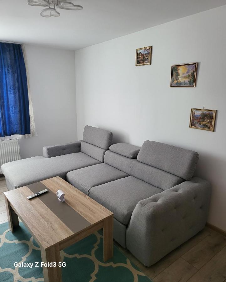 Apartament In Bucovina, Campulung Moldovenesc, Impecabil .アパートメント エクステリア 写真
